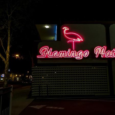 The Flamingo Motel Сан Хосе Екстериор снимка