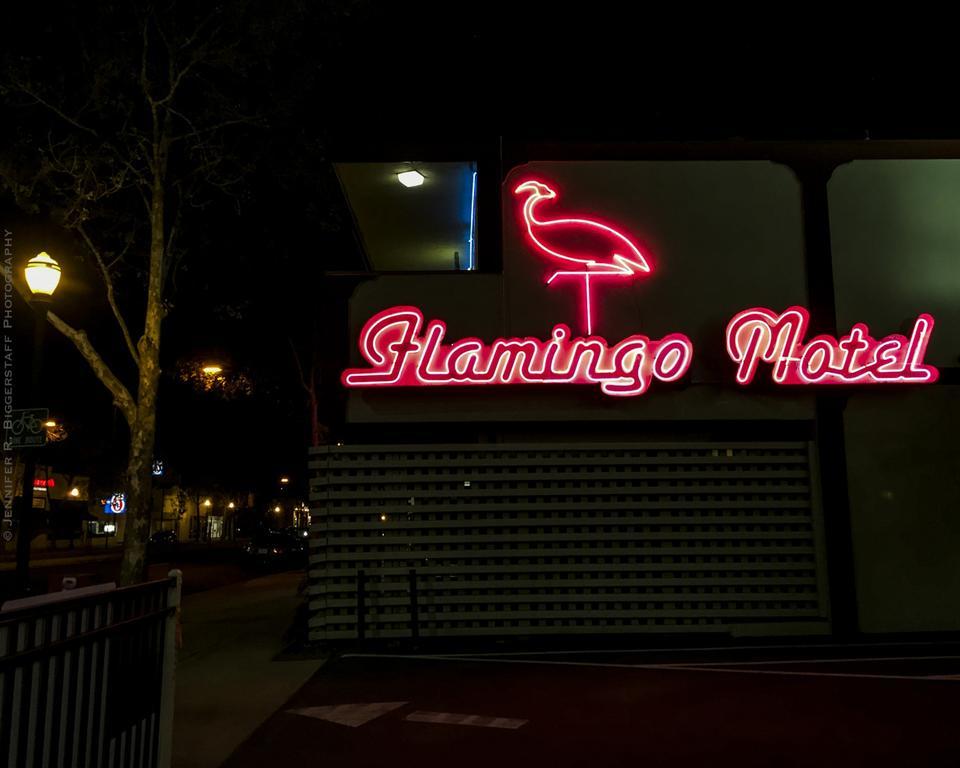 The Flamingo Motel Сан Хосе Екстериор снимка